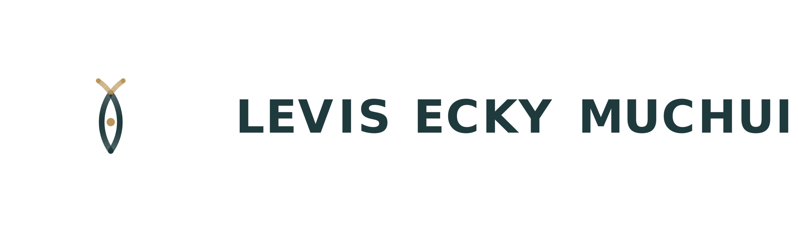 Levis Ecky Muchui